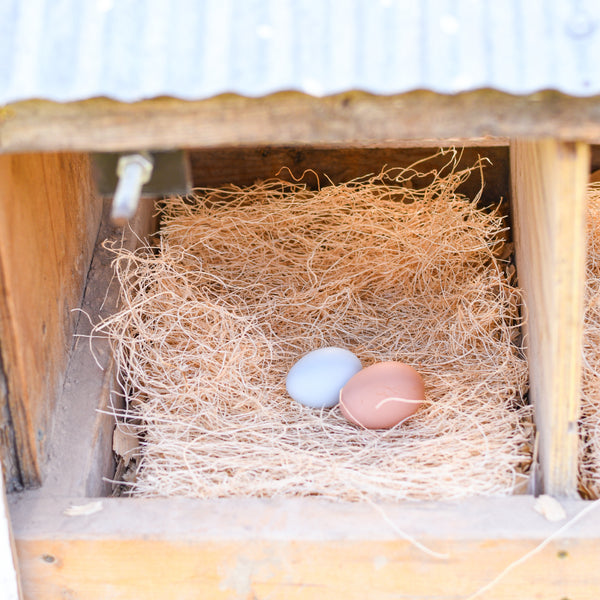 Ceramic Nest Eggs Happy Hen Treats