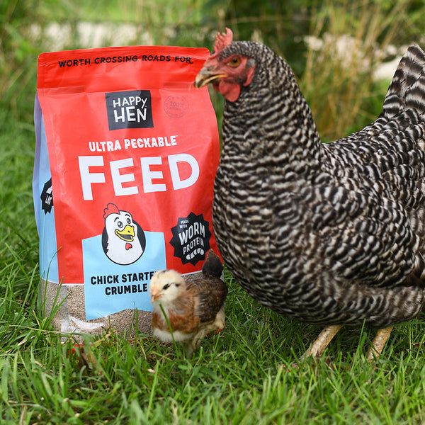 Ultra Peckable Feed™ – Happy Hen Treats