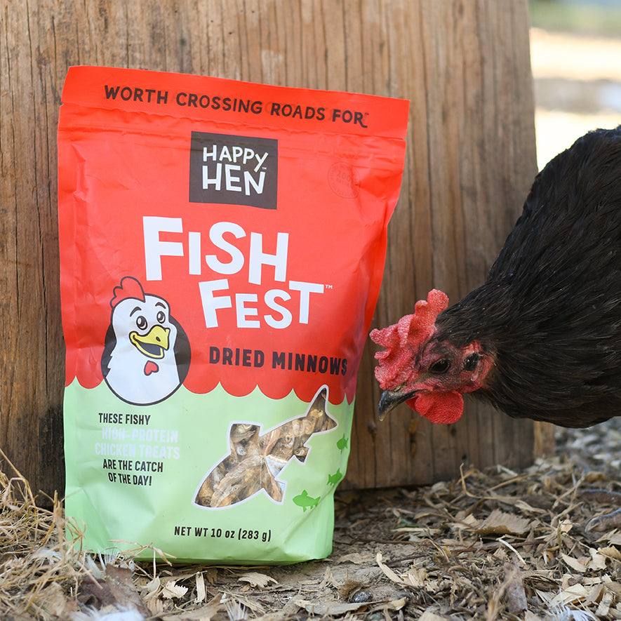 Fish Fest™ NEW – Happy Hen Treats
