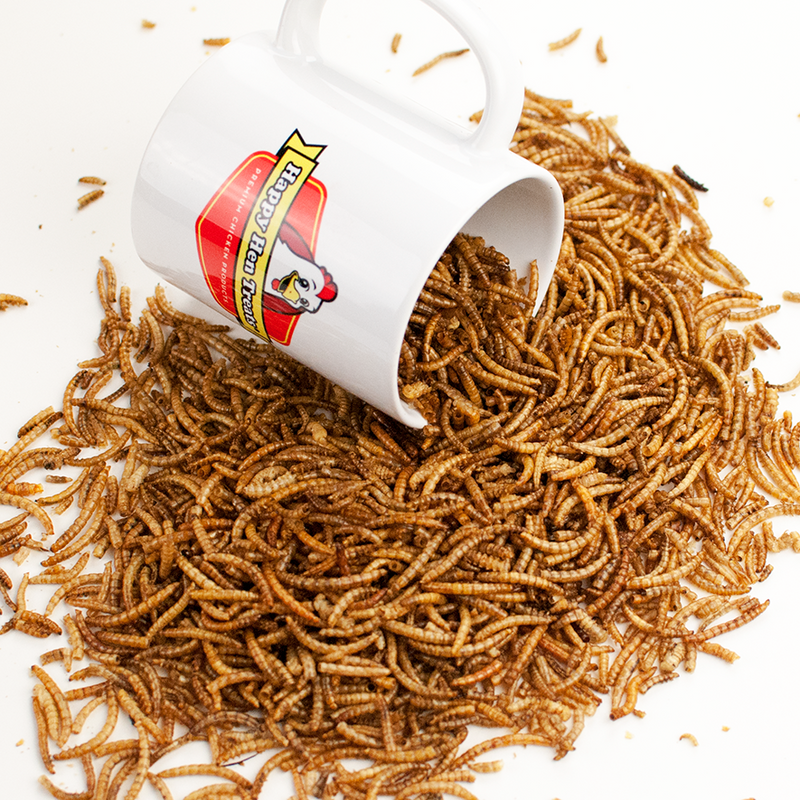Happy hen treats mealworm frenzy best sale